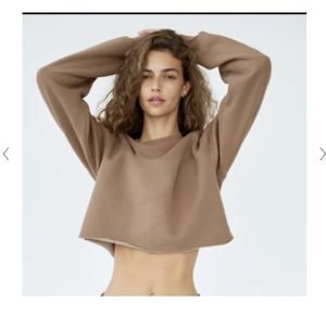 Aritzia Tna CozyAF Boyfriend Crop Sweater - Like New!